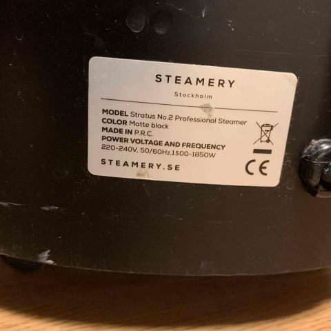 663342-3 Steam Iron Steamery