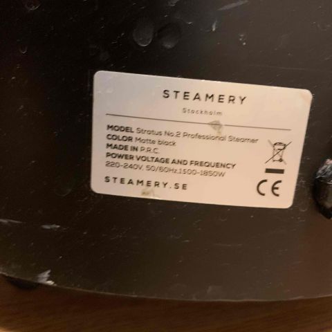 663342-4 Steam Iron Steamery