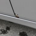 667990-15 Mercedes-Benz E500 5G-Tronic -03 193545km Reg.no: TGA529
