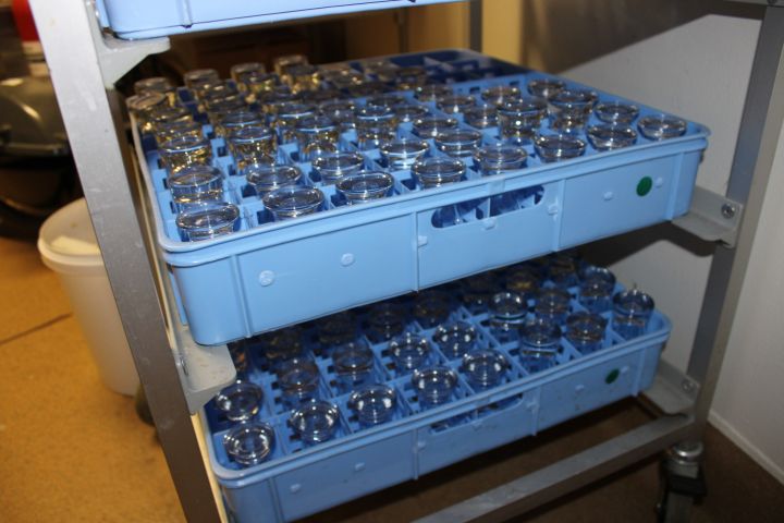 660153-4 Glass for restaurant