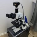 666294-1 Sagitta Microscope with Toupcam digital camera