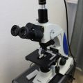 666294-3 Sagitta Microscope with Toupcam digital camera