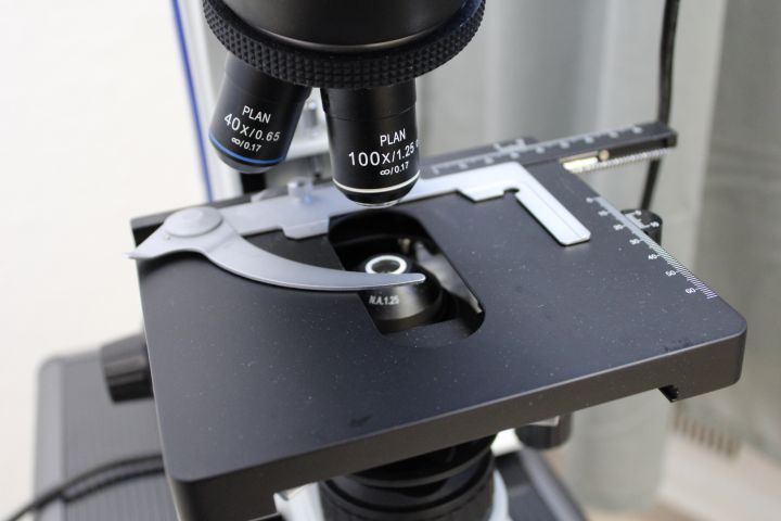 666294-5 Sagitta Microscope with Toupcam digital camera