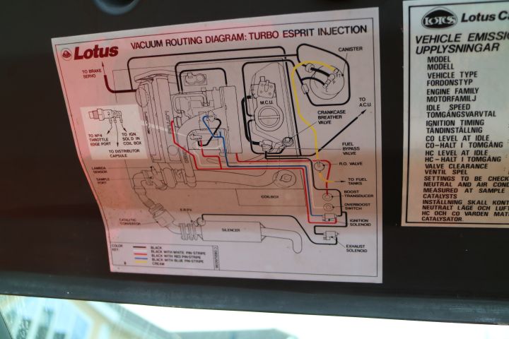 649090-39 Lotus Esprit Turbo 1988