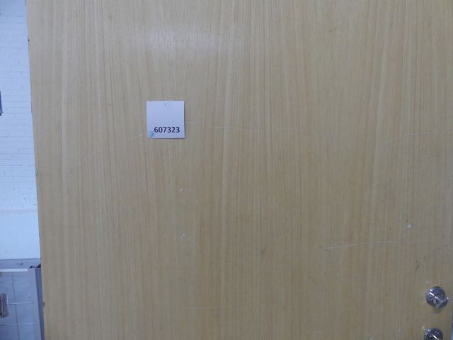 607323-1 Door with sheet metal frame 11 * 21