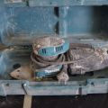668309-1 Grinder Makita BO4565