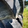 674044-11 Pirelli TM 900 High Power Tractor Tires