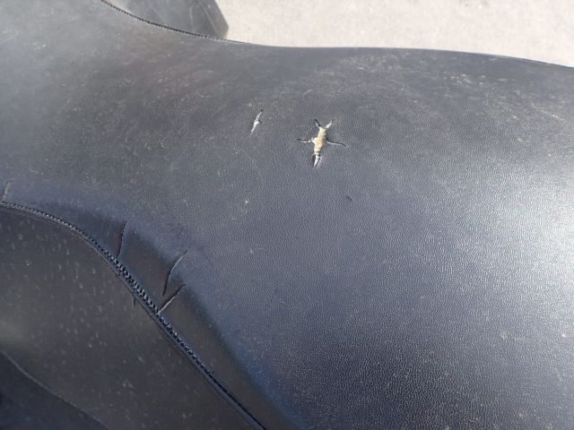 621254-14 Lynx Yeti 550 Reg: YAC460