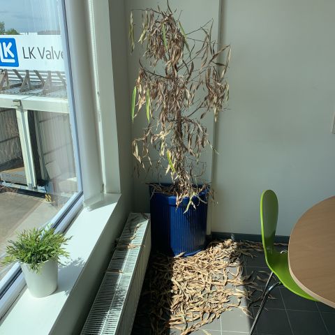 676119-13 Lunch room furniture Kinnarps, Danerka