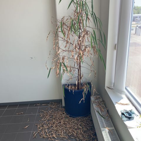 676119-14 Lunch room furniture Kinnarps, Danerka