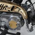 674160-6 Honda Golden Monkey Z50J -84 Limited Edition