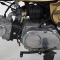 674160-7 Honda Golden Monkey Z50J -84 Limited Edition