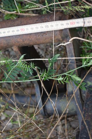 695658-49 Tractor from Fiatagri / Fiat 80 -90DT