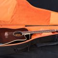 695264-14 Acoustic guitar: Jack & Danny, with bag & fishman mic