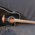 695264-1 Acoustic guitar: Jack & Danny, with bag & fishman mic