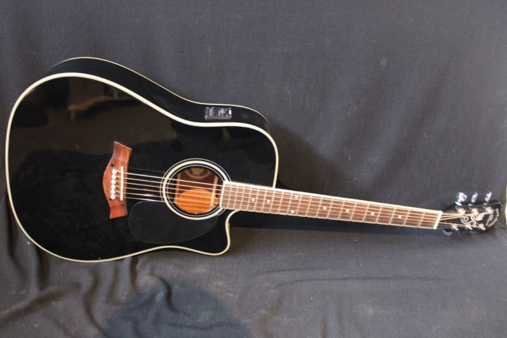 695264-1 Acoustic guitar: Jack & Danny, with bag & fishman mic