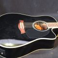 695264-2 Acoustic guitar: Jack & Danny, with bag & fishman mic
