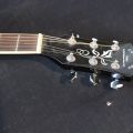 695264-7 Acoustic guitar: Jack & Danny, with bag & fishman mic