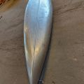 605880-14 Canoe in aluminum Linder Inkas 495