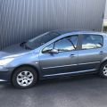 699213-2 Peugeot 307 1.6 Bioflex 2008