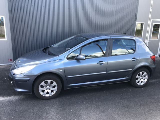 699213-2 Peugeot 307 1.6 Bioflex 2008