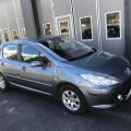 699213-1 Peugeot 307 1.6 Bioflex 2008