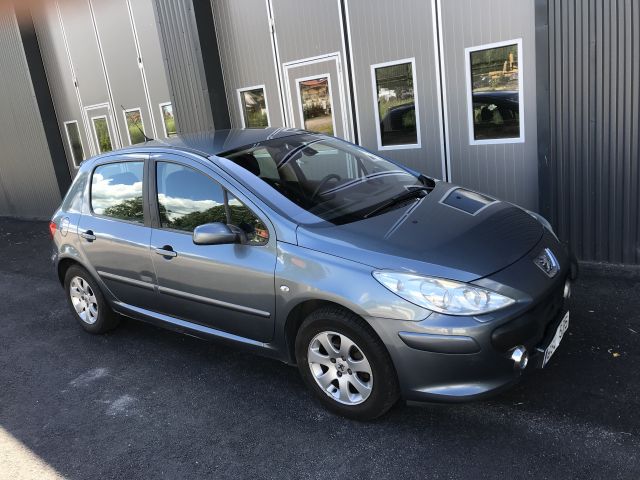 699213-1 Peugeot 307 1.6 Bioflex 2008