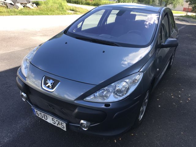 699213-7 Peugeot 307 1.6 Bioflex 2008