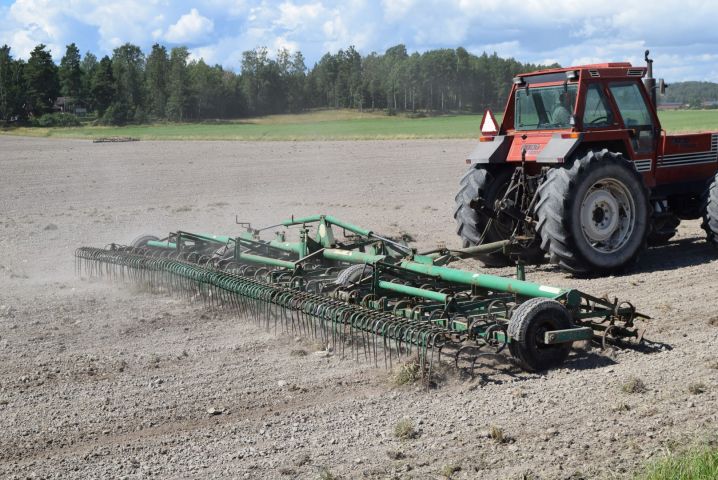 646390-1 Harv Wiberg 97 pegs - 10.5 m