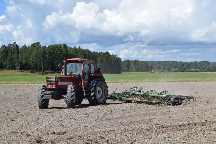 646390-5 Harv Wiberg 97 pegs - 10.5 m