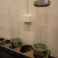 687675-7 6 dispensers for eg soft ice cream sprinkles.