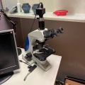 691086-1 Microscope Trinocular SL-700, Sagitta