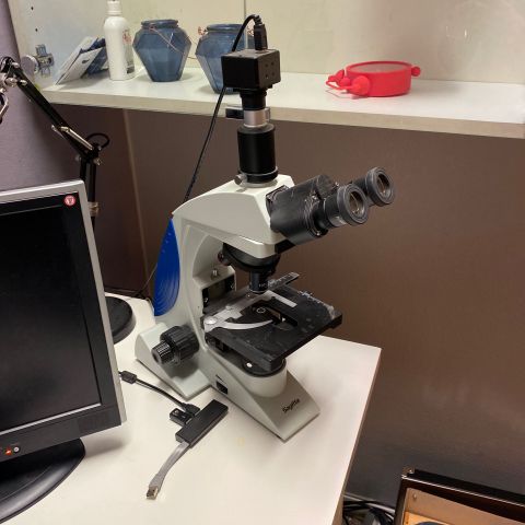 691086-1 Microscope Trinocular SL-700, Sagitta