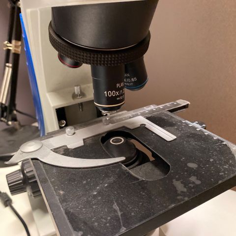 691086-6 Microscope Trinocular SL-700, Sagitta