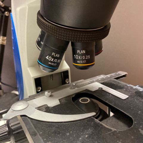 691086-5 Microscope Trinocular SL-700, Sagitta