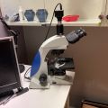 691086-3 Microscope Trinocular SL-700, Sagitta