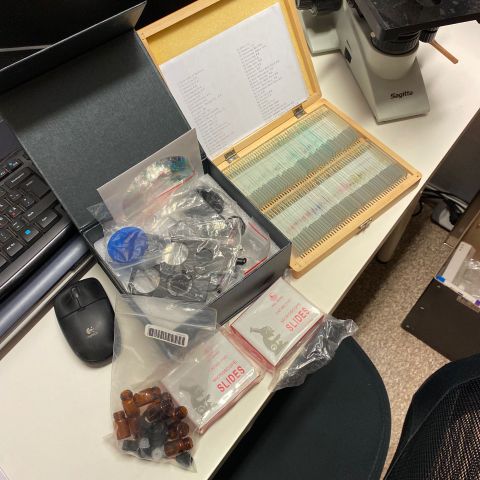 691086-9 Microscope Trinocular SL-700, Sagitta