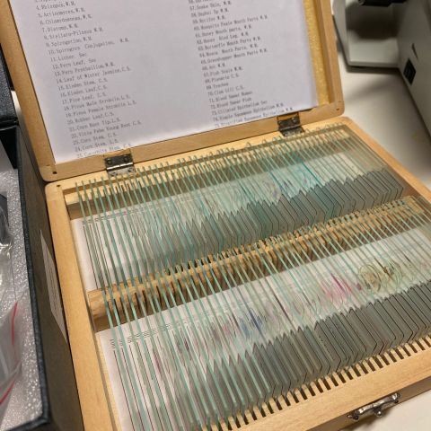 691086-10 Microscope Trinocular SL-700, Sagitta