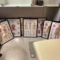 691098-1 Posters, human body 8 pcs