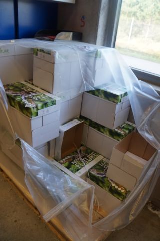 705496-8 A4 paper 80gr 24x2500 pcs