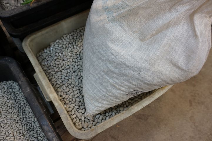 709590-10 Vibrationstrumlare William Boulton FM3 DR