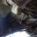 618401-30 Volvo PV 444 -1954