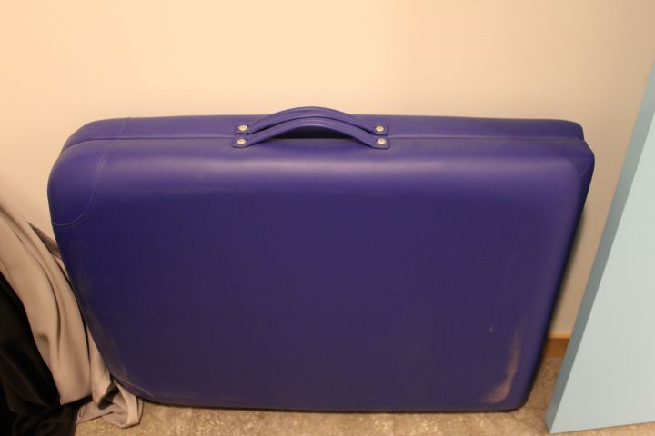 660956-5 Rest room - 2x TV / Monitors Samsung / LG, Massage table and bed 90 cm