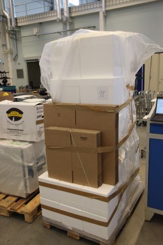 717026-1 A pallet of Styrofoam boxes