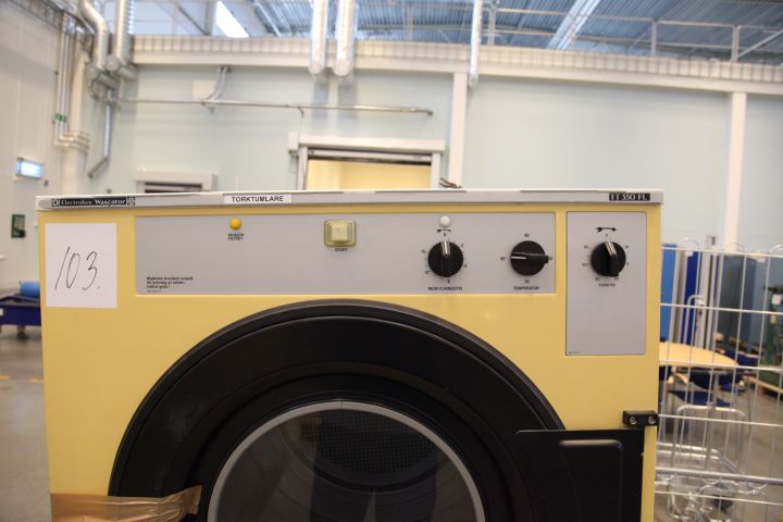 717031-2 Dryer Electrolux Wascator, TT 350 FL