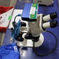 715608-8 Microscope Zeiss Stemi 2000-c & KL1500 LCD