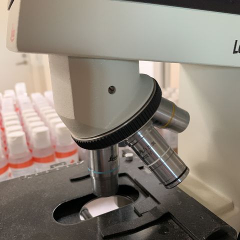 720785-5 Leica atc 2000 microscope