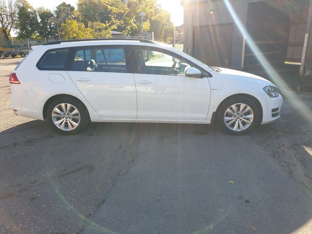 721628-5 Golf Variant 1.4 TGI BlueMotion Gasoline / Methane (JDM267)