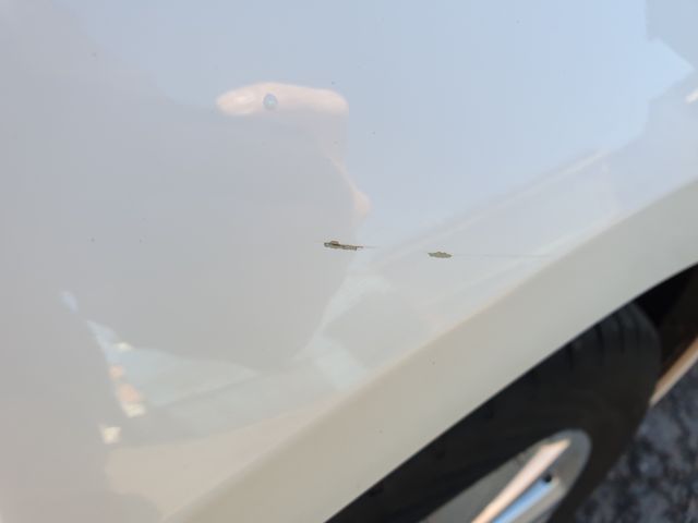 721628-18 Golf Variant 1.4 TGI BlueMotion Gasoline / Methane (JDM267)