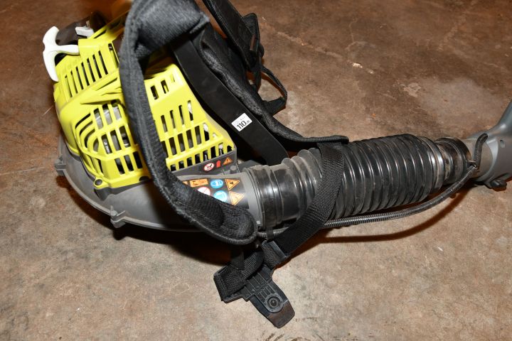 730900-3 Lövblås RYOBI powr XT